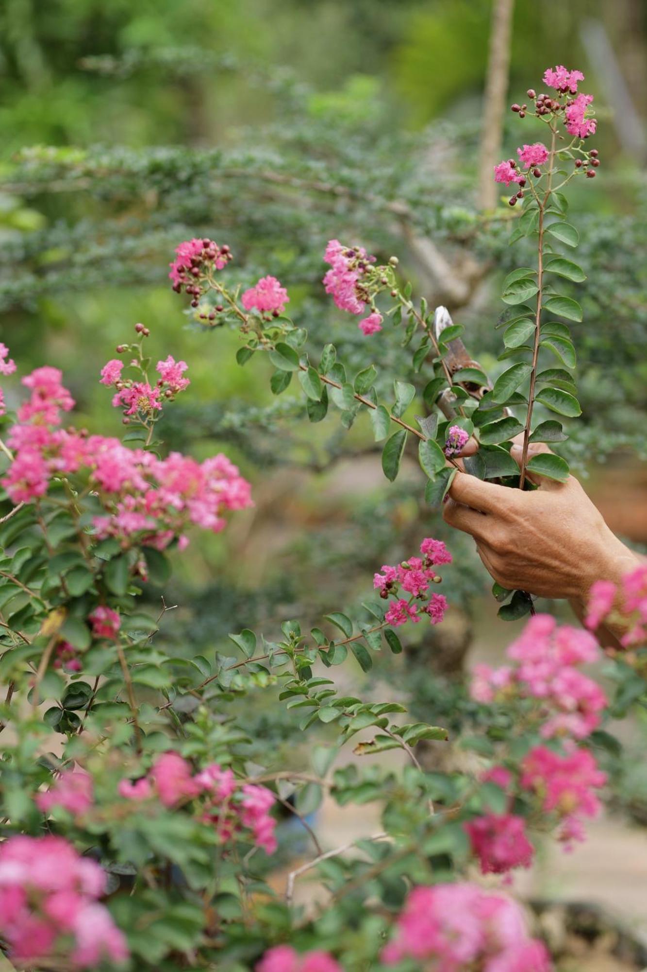 Huenam Residence المظهر الخارجي الصورة
